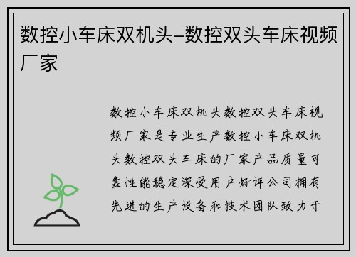 数控小车床双机头-数控双头车床视频厂家